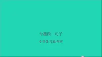 2021年语文专题四句子专项复习检测习题课件