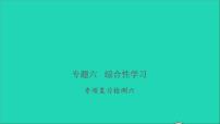 2021年语文专题六综合性学习专项复习检测习题课件