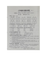 江苏省连云港2021-2022学年六年级上学期语文期末试卷(Word版无答案)