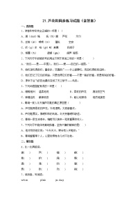 小学20* 芦花鞋课时训练