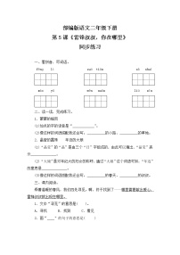 人教部编版二年级下册课文25 雷锋叔叔，你在哪里精品随堂练习题