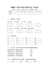 部编版三年级上册语文期中试卷（审定版）