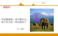人教部编版二年级下册课文619 大象的耳朵课文内容ppt课件