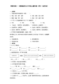 寒假作业——部编版语文六年级上册作业（四）（含答案）