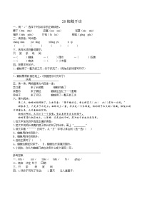 人教部编版二年级下册20 蜘蛛开店精练