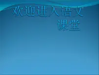 语文二年级下册20 蜘蛛开店图文ppt课件