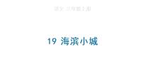 小学语文人教部编版三年级上册19 海滨小城图片课件ppt