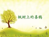人教部编版二年级下册9 枫树上的喜鹊示范课课件ppt