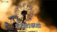 小学语文16 金色的草地课堂教学课件ppt
