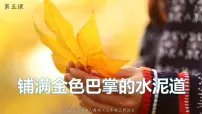 小学语文人教部编版三年级上册5 铺满金色巴掌的水泥道课文ppt课件