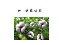 人教部编版一年级下册课文 619 棉花姑娘课文课件ppt