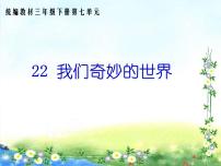 小学语文人教部编版三年级下册22 我们奇妙的世界图文ppt课件