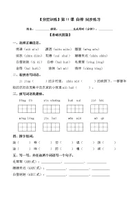 小学人教部编版11 白桦达标测试