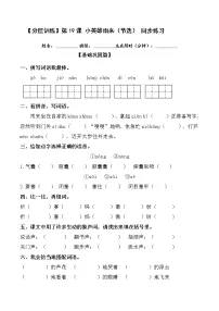 2021学年18 小英雄雨来(节选)课后测评