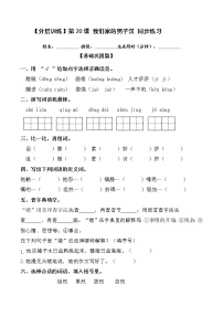 2020-2021学年19* 我们家的男子汉练习