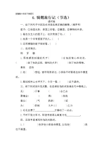 小学语文人教部编版六年级下册6* 骑鹅旅行记(节选)同步训练题