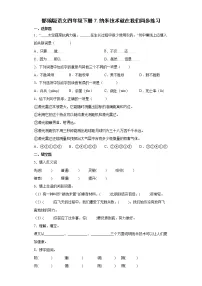 小学语文人教部编版四年级下册7 纳米技术就在我们身边复习练习题