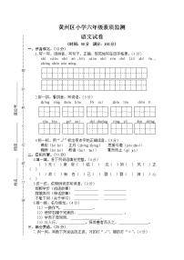 黄州区小学六年级下册素质监测期末试卷