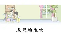 小学语文人教部编版六年级下册15 表里的生物图文ppt课件