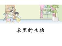 小学语文人教部编版六年级下册15 表里的生物图文ppt课件