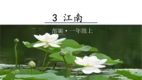 小学语文人教部编版一年级上册3 江南示范课ppt课件