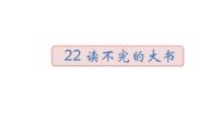 人教部编版三年级上册22 父亲、树林和鸟授课ppt课件