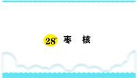 语文三年级下册第八单元28* 枣核课文配套ppt课件