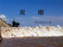 语文四年级上册1 观潮课文配套ppt课件