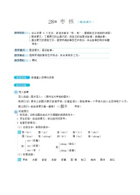 小学语文人教部编版三年级下册第八单元28* 枣核教案