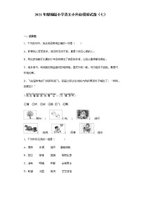 部编版小学语文小升初模拟试题（七）（含答案）