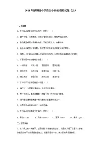 部编版小学语文小升初模拟试题（九）（含答案）