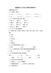 部编版语文六年级上学期期末预测卷05（含答案）