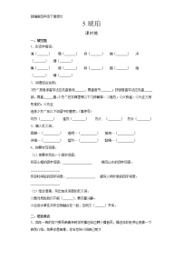 小学语文人教部编版四年级下册5 琥珀随堂练习题