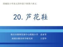 语文四年级下册20* 芦花鞋课堂教学课件ppt