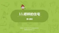 2021学年11 蟋蟀的住宅示范课课件ppt