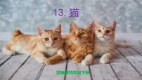小学语文人教部编版四年级下册13 猫优秀ppt课件