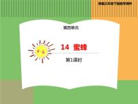 小学语文人教部编版三年级下册第四单元14 蜜蜂图片ppt课件
