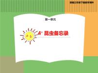 小学语文人教部编版三年级下册4* 昆虫备忘录课文配套课件ppt