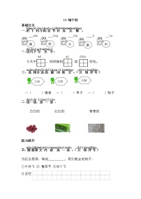 语文10 端午粽随堂练习题