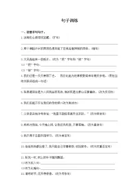 六年级下册语文试题 期末复习 句子训练 部编版（含答案）