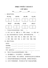 小学语文人教部编版六年级下册9 那个星期天精品练习