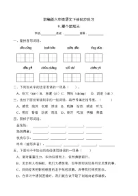 小学语文人教部编版六年级下册9 那个星期天精品练习