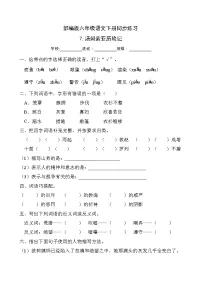 人教部编版六年级下册7* 汤姆·索亚历险记(节选)同步达标检测题