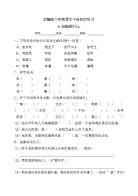 人教部编版六年级下册6* 骑鹅旅行记（节选）练习