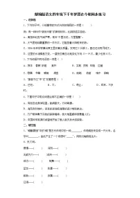 语文四年级下册8* 千年梦圆在今朝当堂检测题