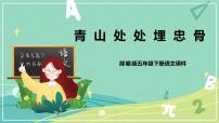 小学语文人教部编版五年级下册11 青山处处埋忠骨一等奖ppt课件