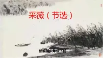 小学语文人教部编版六年级下册古诗词诵读1 采薇（节选）一等奖课件ppt