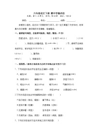 【期中检测卷】六年级语文下册 期中学情评估（部编版 含答案）