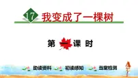 人教部编版三年级下册17 我变成了一棵树示范课ppt课件