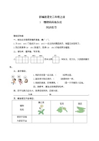 人教部编版二年级上册3 植物妈妈有办法精品达标测试